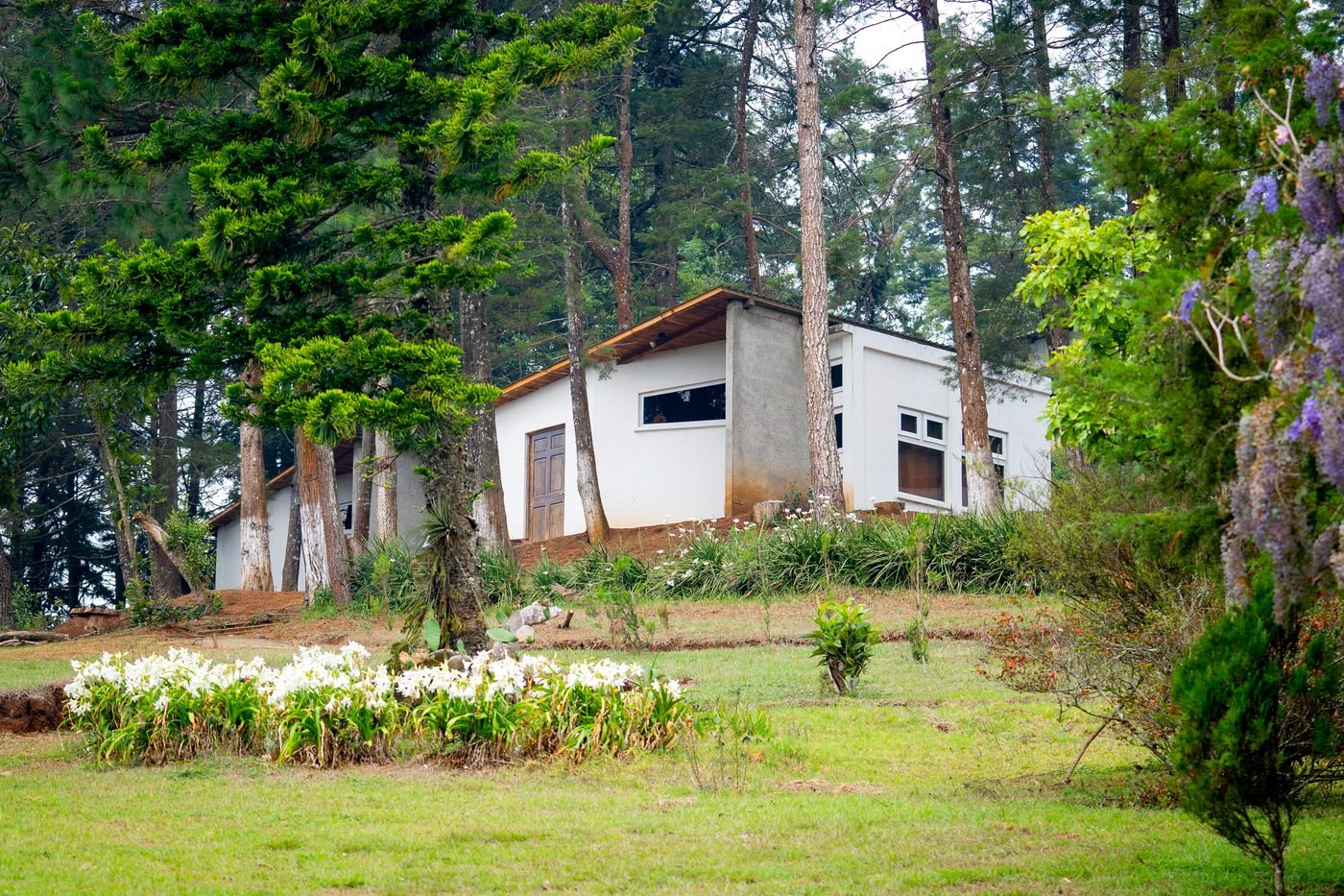 Entorno natural para eventos privados